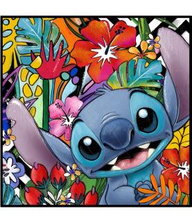 picture stitch cm 50x50