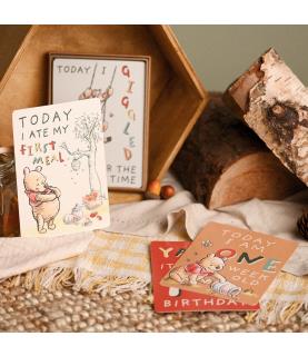 Magical Beginnings Winnie The Pooh Milestone Cards