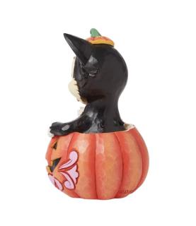 Figaro in Jack-O-Lantern Mini (Exp 2025-05-01)