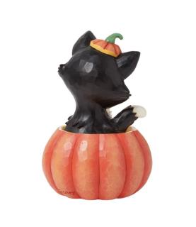 Figaro in Jack-O-Lantern Mini (Exp 2025-05-01)