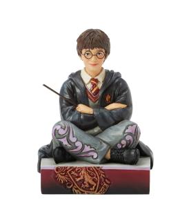 The Chosen One (Harry Potter Personality Pose) (Exp 2025-08-14)