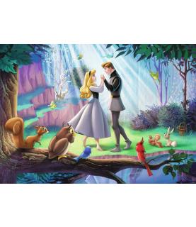 Collector's Edition: Sleeping Beauty (1000p)