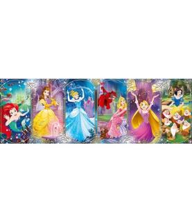 Panorama Princess 1000 pieces
