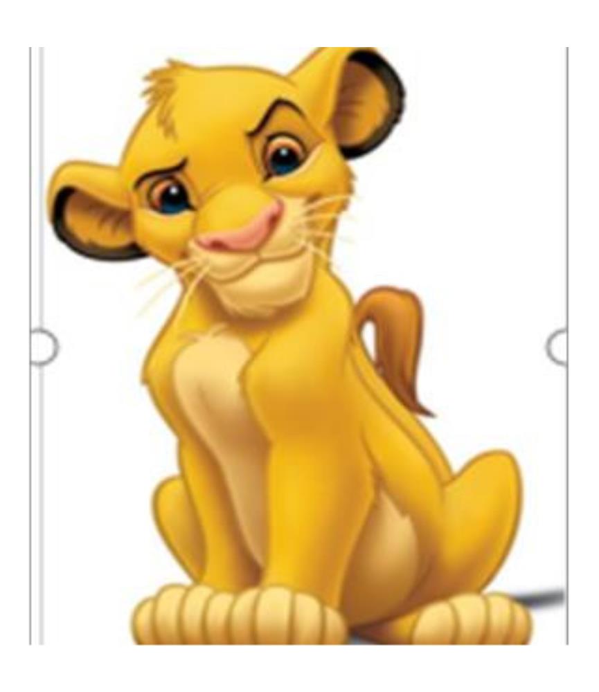 No Worries: Simba Money Bank