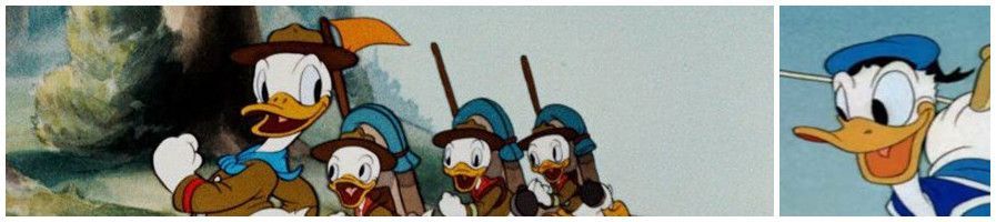 Donald Duck