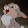 Thumper
